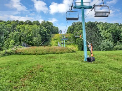 C102 Snowpine Village, Ellicottville, NY 14731 - photo 4