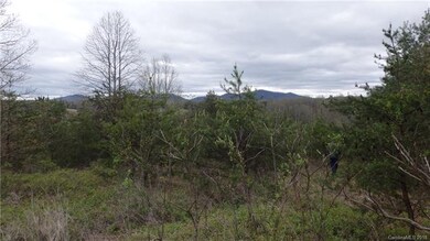 17 Chapel Hill Place unit 38, Leicester, NC 28748 - photo 2