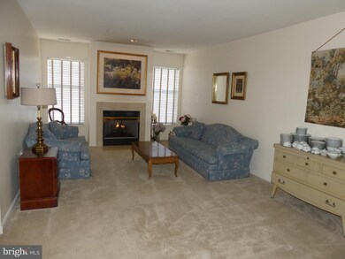 4600 Alcott Way unit 101, Owings Mills, MD 21117 - photo 3