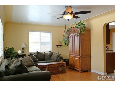 Ceiling Fan Perfect for Comfort in All Seasons