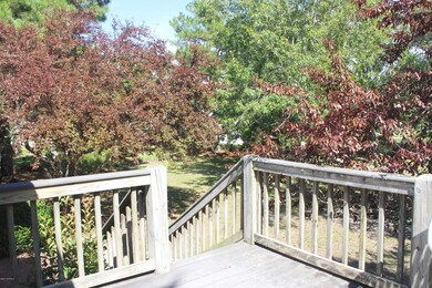 Back deck