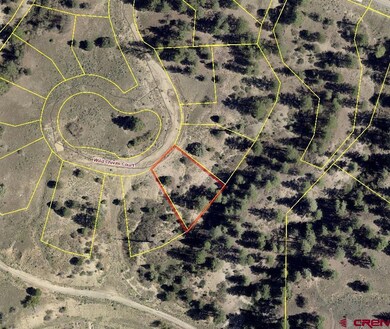 117 Wild Chives Ct (Lot 112), Durango, CO 81301 - photo 2