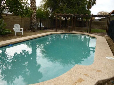 Backyard pool