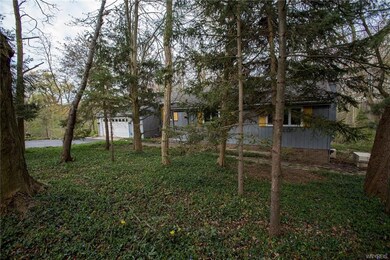 Nestled in the Woods