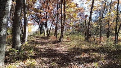 35 Doe Ave, Drakesville, IA 52552 - photo 3