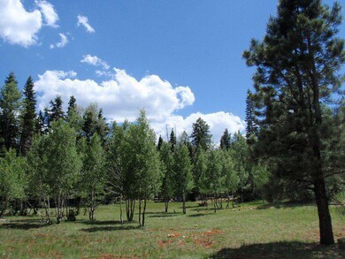 Adjoining lot is a lush meadow