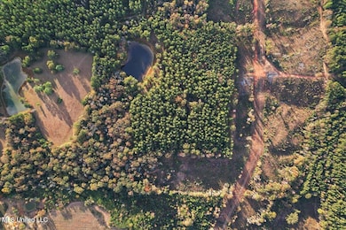 00 Anse Reed Rd, Magee, MS 39111 - photo 2