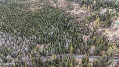Tract K Byington Rd, Kasilof, AK 99610 - photo 6