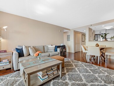 Regatta Riverview Residences unit 1623, Cambridge, MA 02141 - photo 4