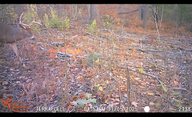 0 V L E 22 3 4 Rd, Manton, MI 49663 - photo 4