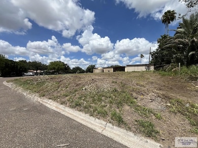 1101 S Willow St unit lot 2, La Feria, TX 78559 - photo 2