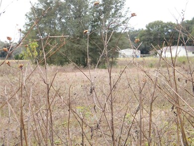 0 Bryant View Ct, Zephyrhills, FL 33540 - photo 3