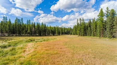 03_WhitefishRanchCourt_181002_AerialView