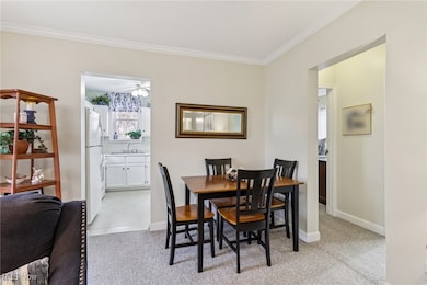 5575 N Chagrin Dr, Mentor-On-the-lake, OH 44060 - photo 7