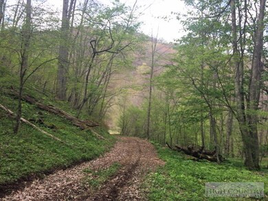 Driveway into the property