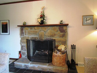 Fireplace in Great Room