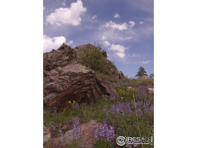 3434 Davis Ranch Rd, Bellvue, CO 80512 - photo 5