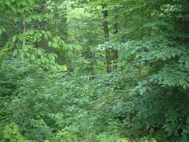 trees
