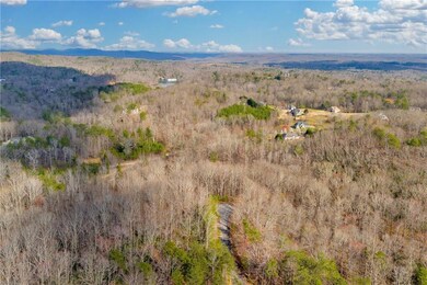 Drone / aerial view with a mountain view