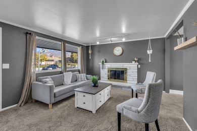 Living room featuring carpet flooring, a stone fireplace, rail lighting, and ornamental molding