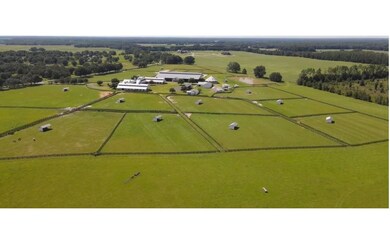 0 Mandiba Dr unit 122086, Lake City, FL 32024 - photo 7