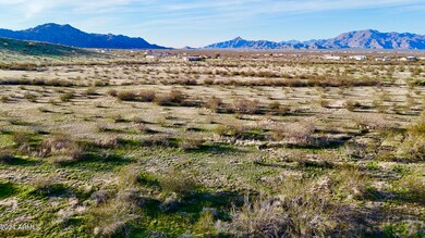 dji_fly_20240212_170844_0509_17078443228