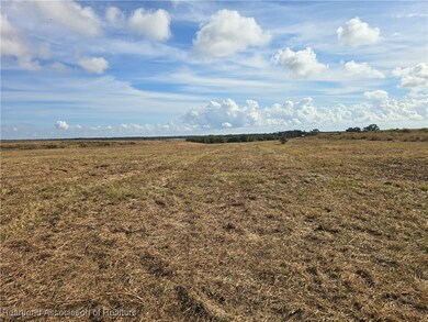 C-35-35-29-030-0070- C17 Rd, Sebring, FL 33876 - photo 4