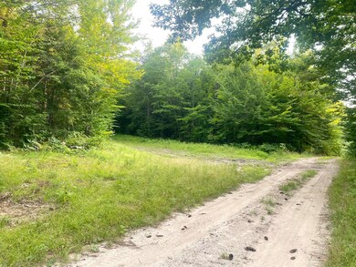 2,4,6 Willis Bean Rd, Eaton, NH 03832 - photo 4