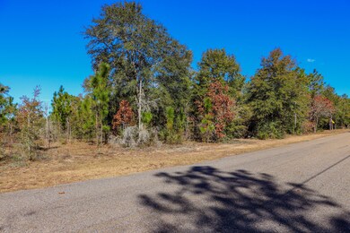 Roadside View 1