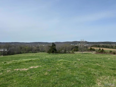 667 Highland St, Pacific, MO 63069 - photo 4