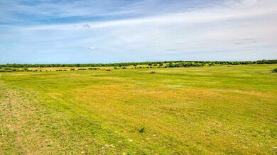 Lot 10 Pine Rd, Poolville, TX 76487 - photo 6