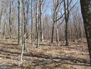 0 Grassy Lick unit 1004334906, Kirby, WV 26755 - photo 2