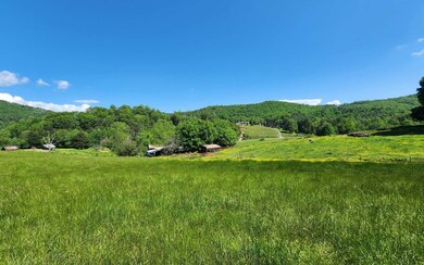 Additional View