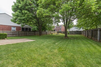 Backyard 1