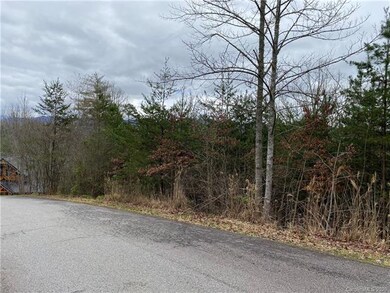 Lot 31 Walnut Cove Rd unit 31, 4, Beech Glenn, NC 28754 - photo 6