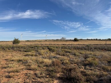 0000 N Ennis Creek Rd, Snyder, TX 79549 - photo 6