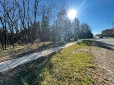 1940 Brookridge Dr unit Lot 29, Plover, WI 54467 - photo 4