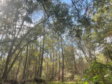 0000 Lavon Rd, Bagdad, FL 32583 - photo 7