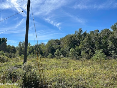 Lot 3 Hope Ln, Pass Christian, MS 39571 - photo 2