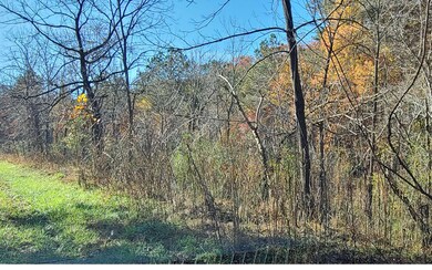 38ACS Wolf Creek Rd, Murphy, NC 28906 - photo 2