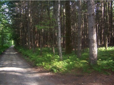 733 Potter Rd, Lowell, VT 05847 - photo 6