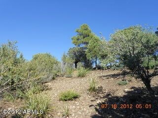 Hillside Lot