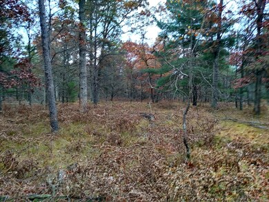 VL Par 3 S Forman Rd, Baldwin, MI 49304 - photo 2