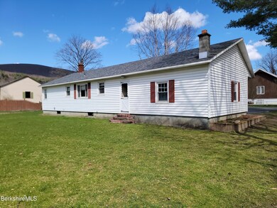 Side garden / back yard