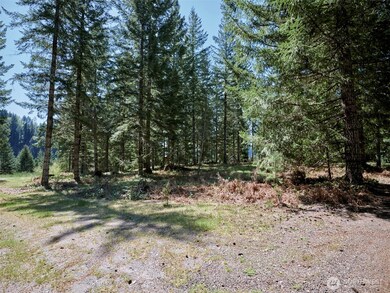1 Loowit Ln, Cougar, WA 98616 - photo 7