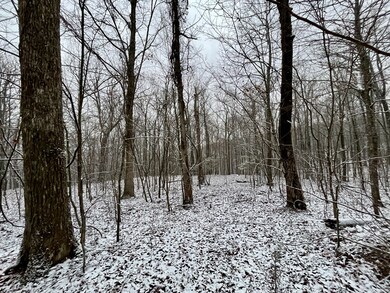 0 Sheep Bluff Rd unit RTC2480679, Cookeville, TN 38506 - photo 2