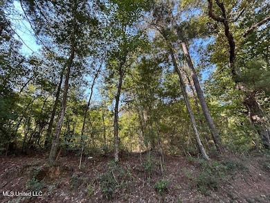 0 Summit Holmesville Rd, McComb, MS 39648 - photo 5