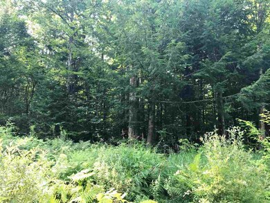 0 Slate Ledge Rd unit 4712074, Littleton, NH 03561 - photo 2