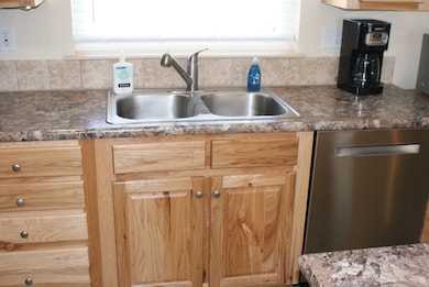 Kitchen featuring stainless steel dishwasher, dark countertops, and a sink