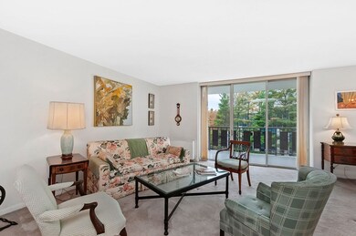 Imperial Towers unit 411, Chestnut Hill, MA 02467 - photo 4